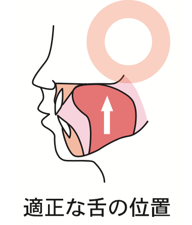 適正な舌の位置